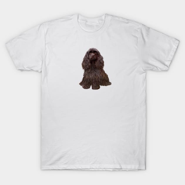 Chocolate Cocker Spaniel - just the dog T-Shirt by Dogs Galore and More